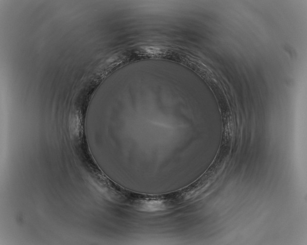 X0000113250651200910011347