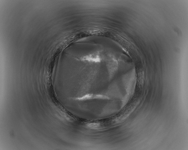 X0000113250653200910011347