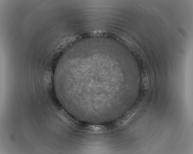 X0000113250654200910011347