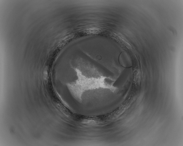 X0000113250655200910011347