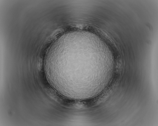 X0000113250656200910011347