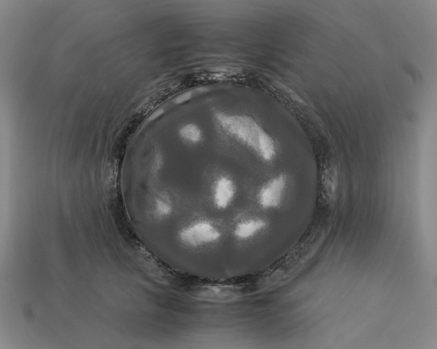 X0000113250657200910011347