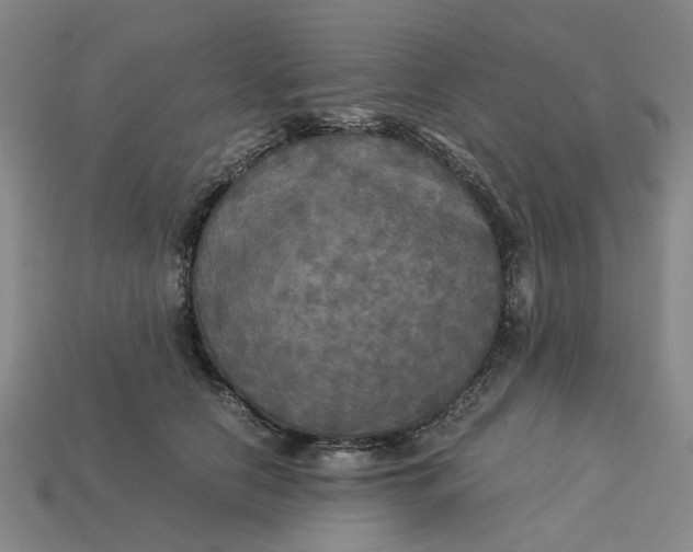 X0000113250658200910011347