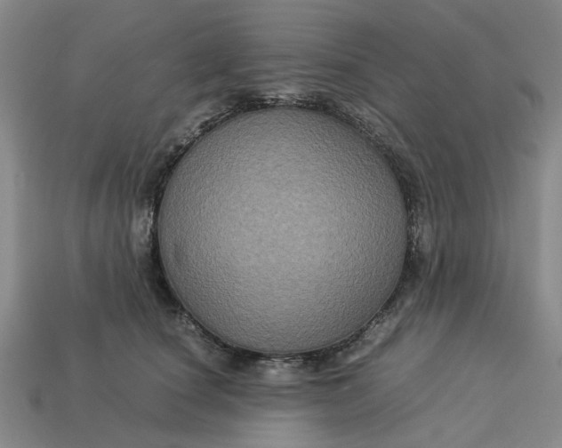 X0000113250660200910011347