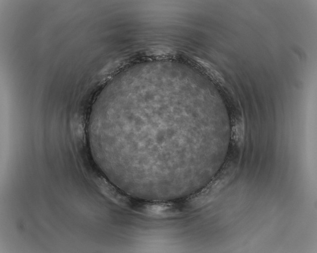 X0000113250662200910011347