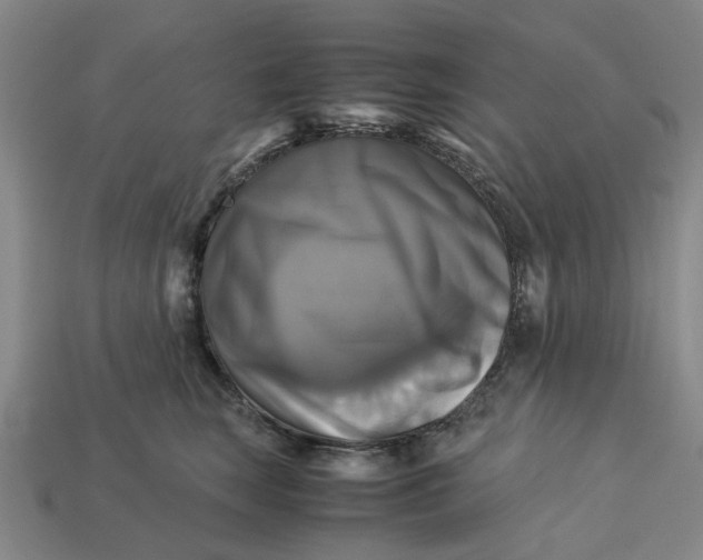 X0000113250663200910011347