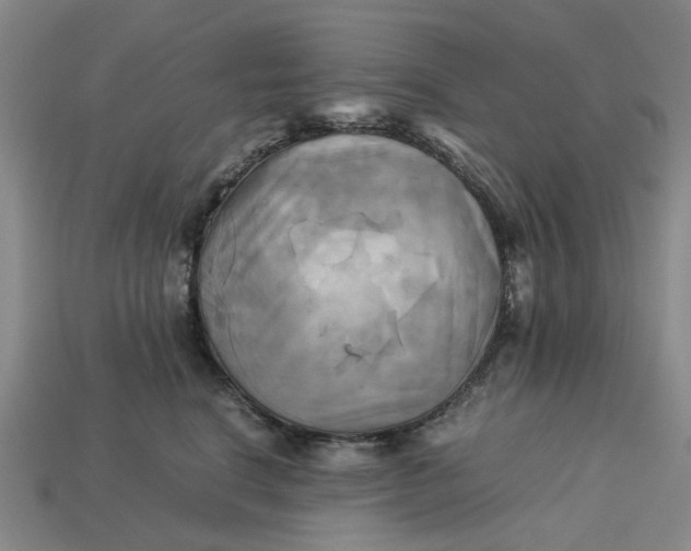 X0000113250664200910011347