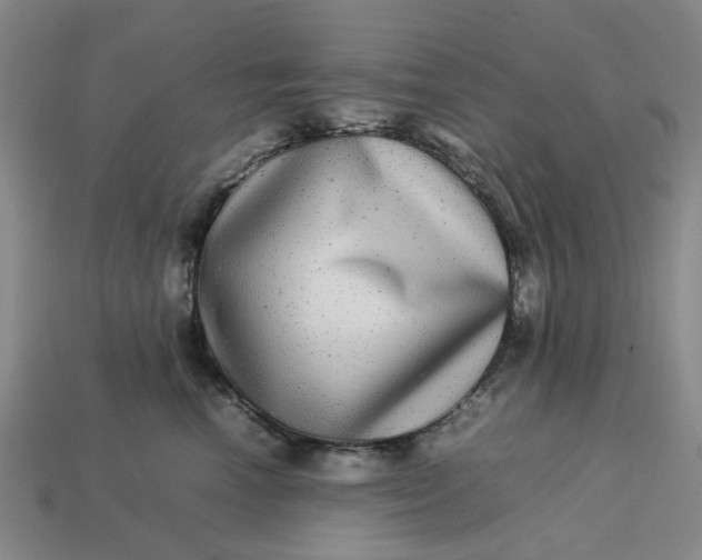 X0000113250666200910011347