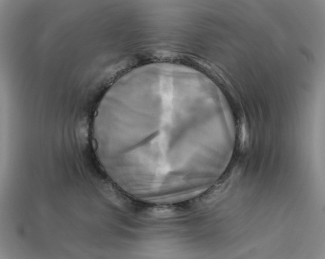 X0000113250668200910011347