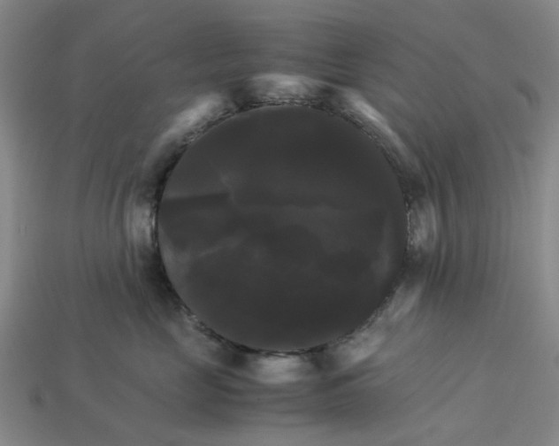 X0000113250669200910011347