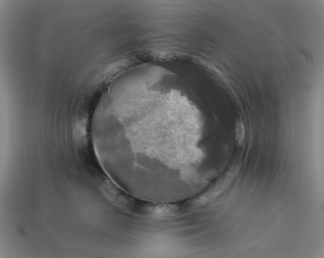 X0000113250670200910011347