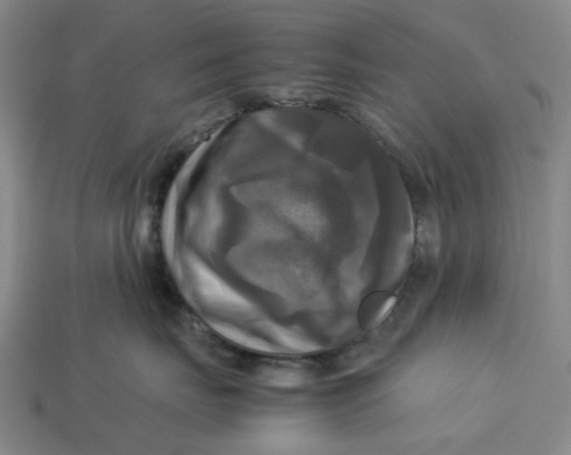 X0000113250671200910011347