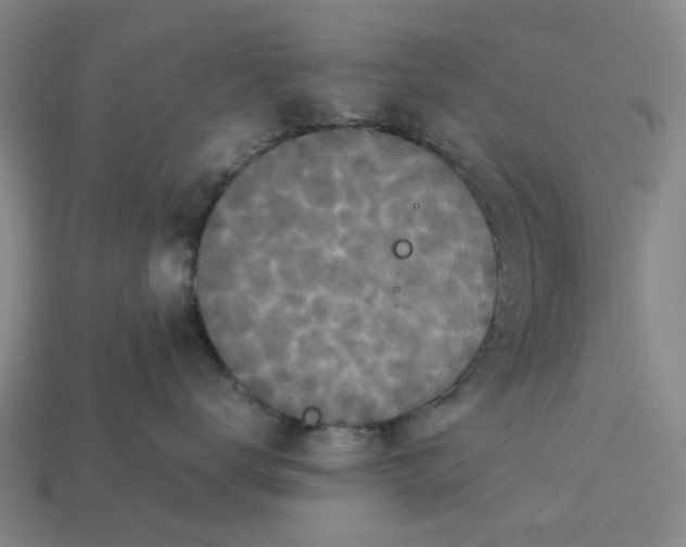 X0000113250672200910011347