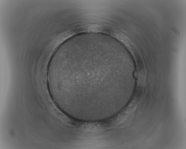 X0000113250673200910011347