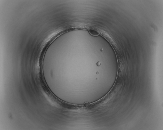 X0000113250674200910011347