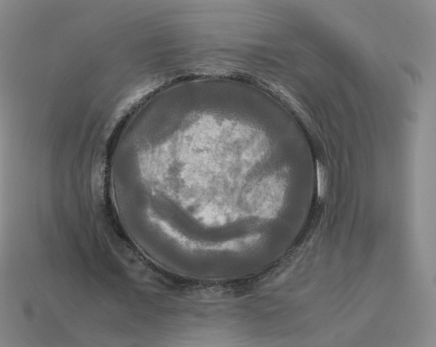 X0000113250675200910011347