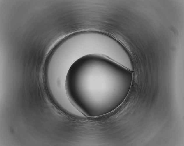 X0000113250676200910011347