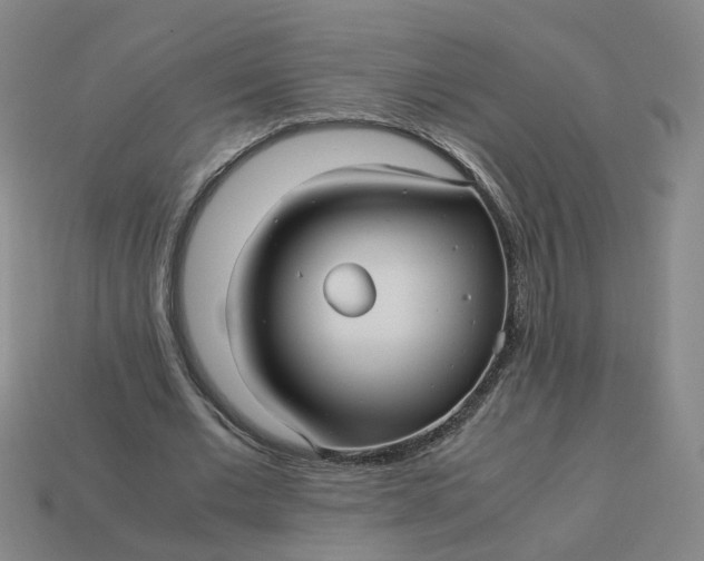 X0000113250677200910011347