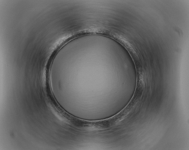 X0000113250678200910011347