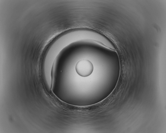 X0000113250680200910011346