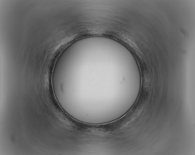 X0000113250681200910011346