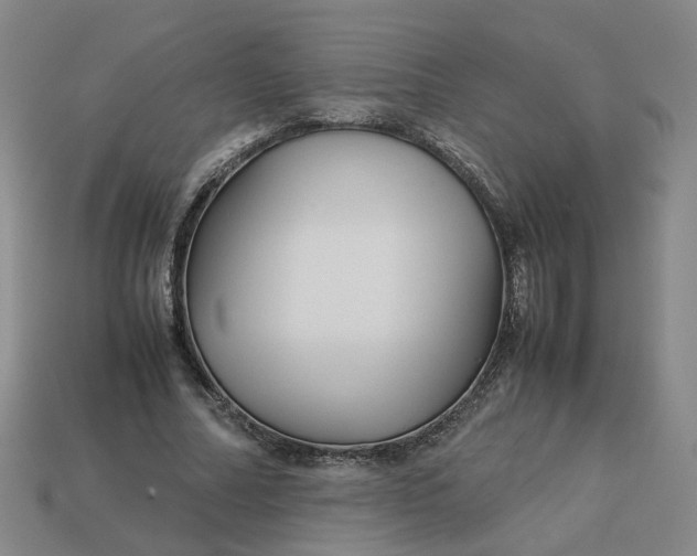 X0000113250682200910011346