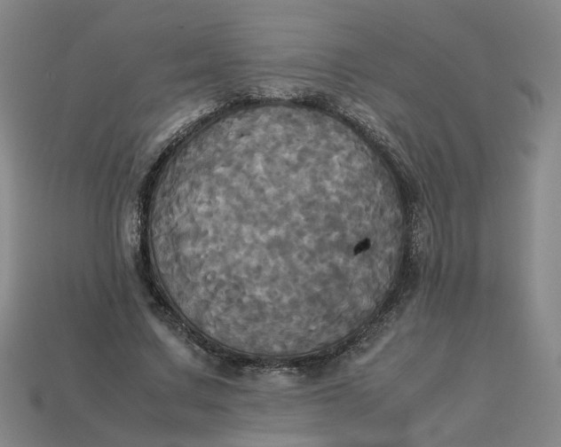 X0000113250683200910011346