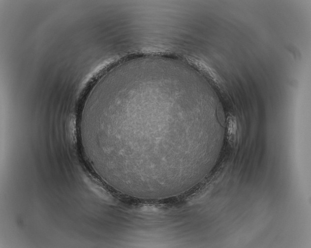 X0000113250684200910011346