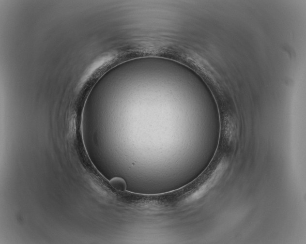 X0000113250685200910011346