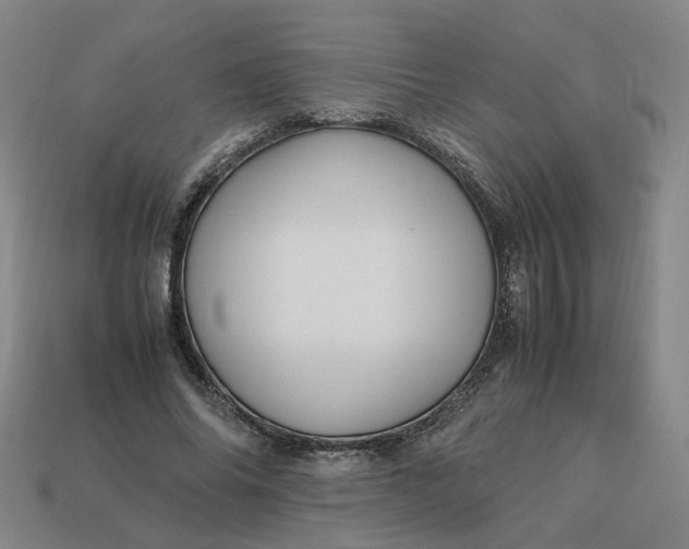 X0000113250686200910011346