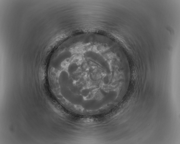 X0000113250687200910011346