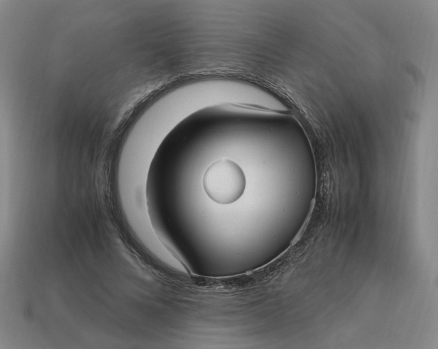 X0000113250688200910011346