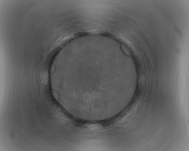 X0000113250689200910011346