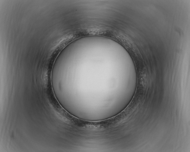 X0000113250690200910011346