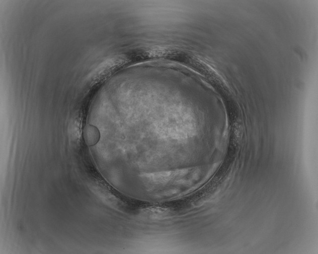 X0000113250691200910011346