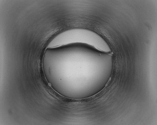 X0000113250692200910011346