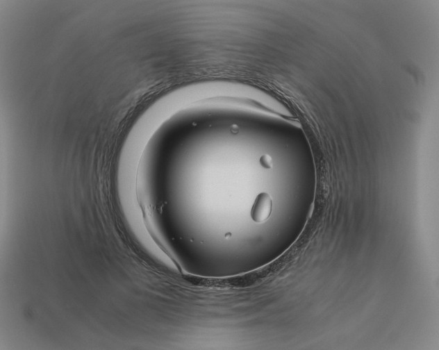 X0000113250693200910011346