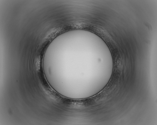 X0000113250694200910011346