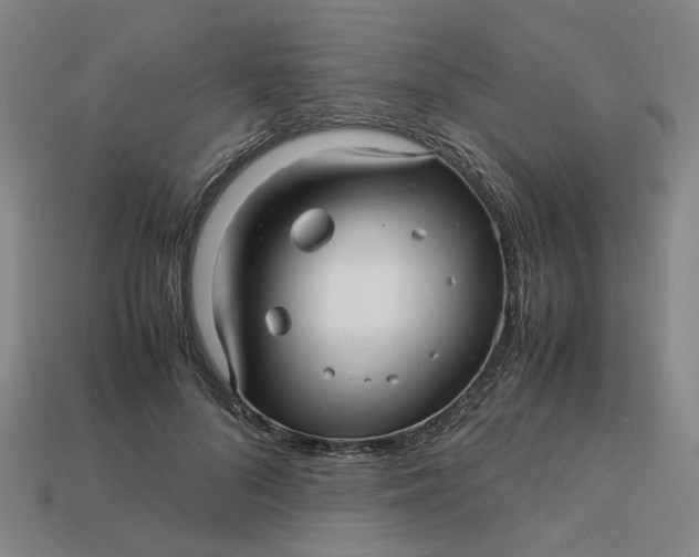 X0000113250696200910011346