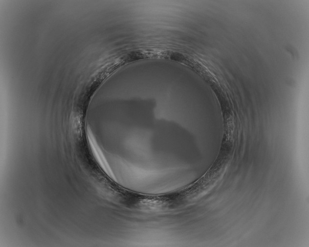 X0000113250699200910011346