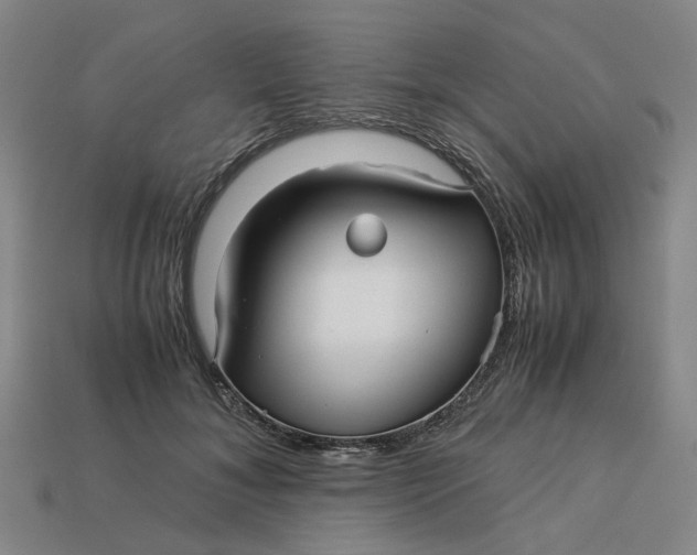 X0000113250700200910011346