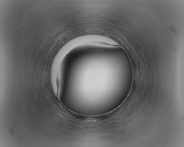 X0000113250701200910011346