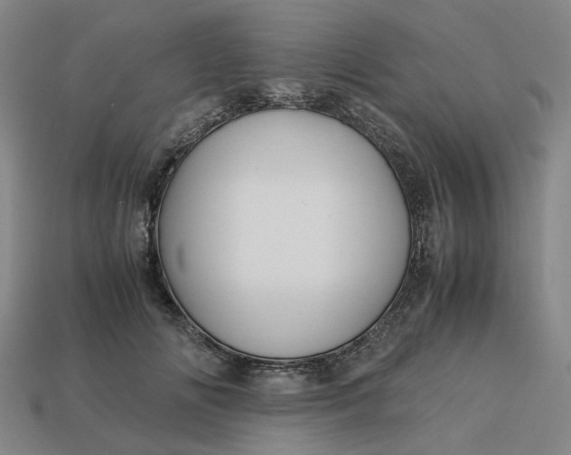 X0000113250702200910011346