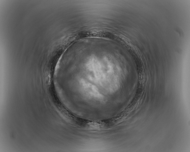 X0000113250703200910011346