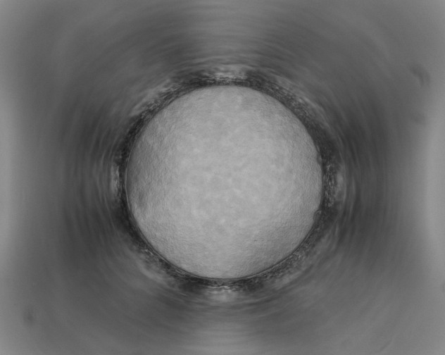 X0000113250704200910011346