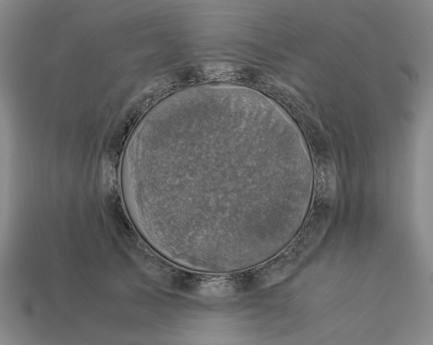 X0000113250705200910011346