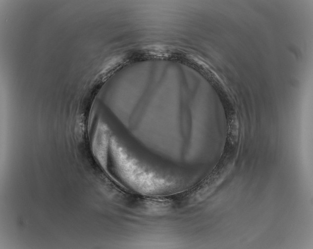 X0000113250707200910011346