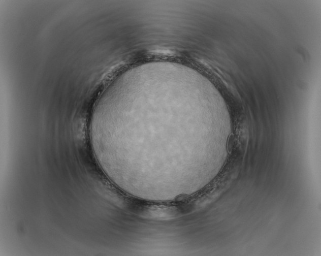 X0000113250708200910011346