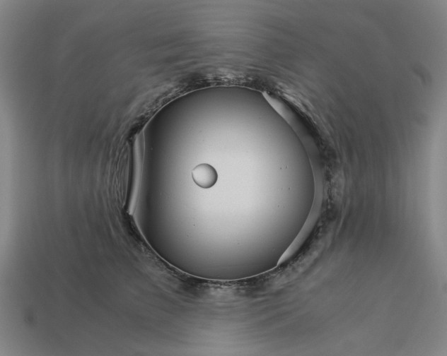 X0000113250709200910011346