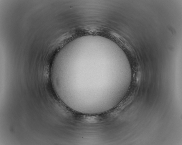 X0000113250710200910011346